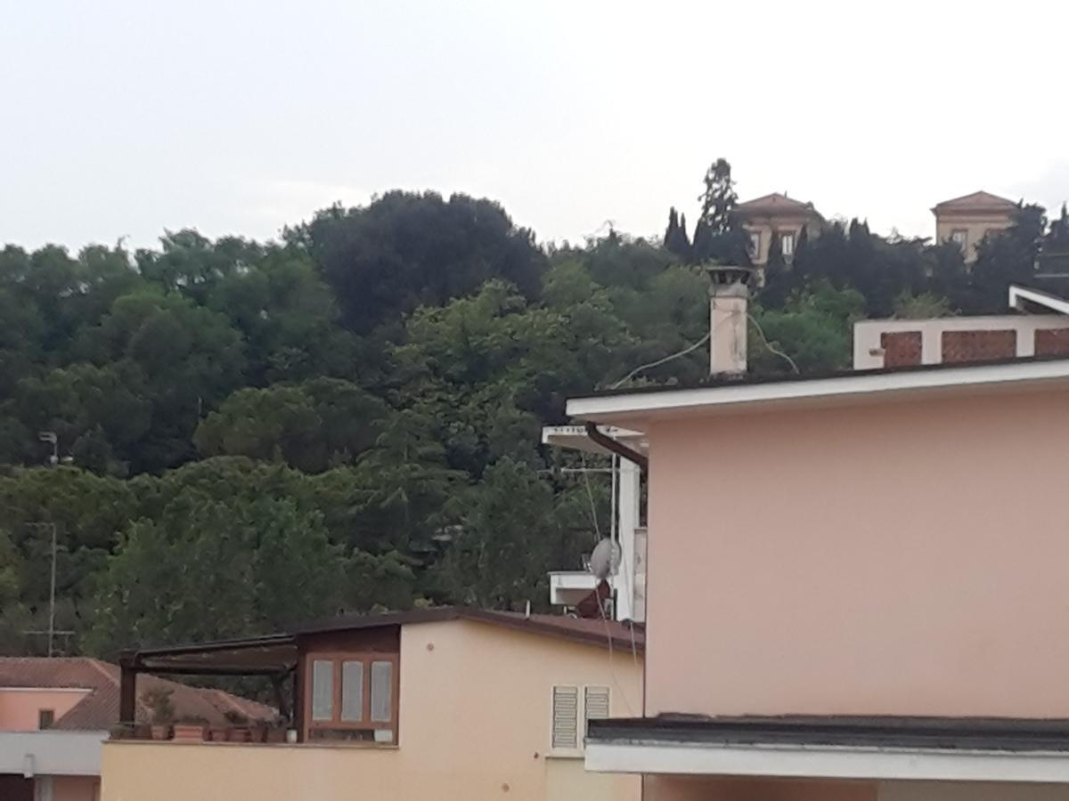 Hotel Antares Garni Giulianova Exterior foto